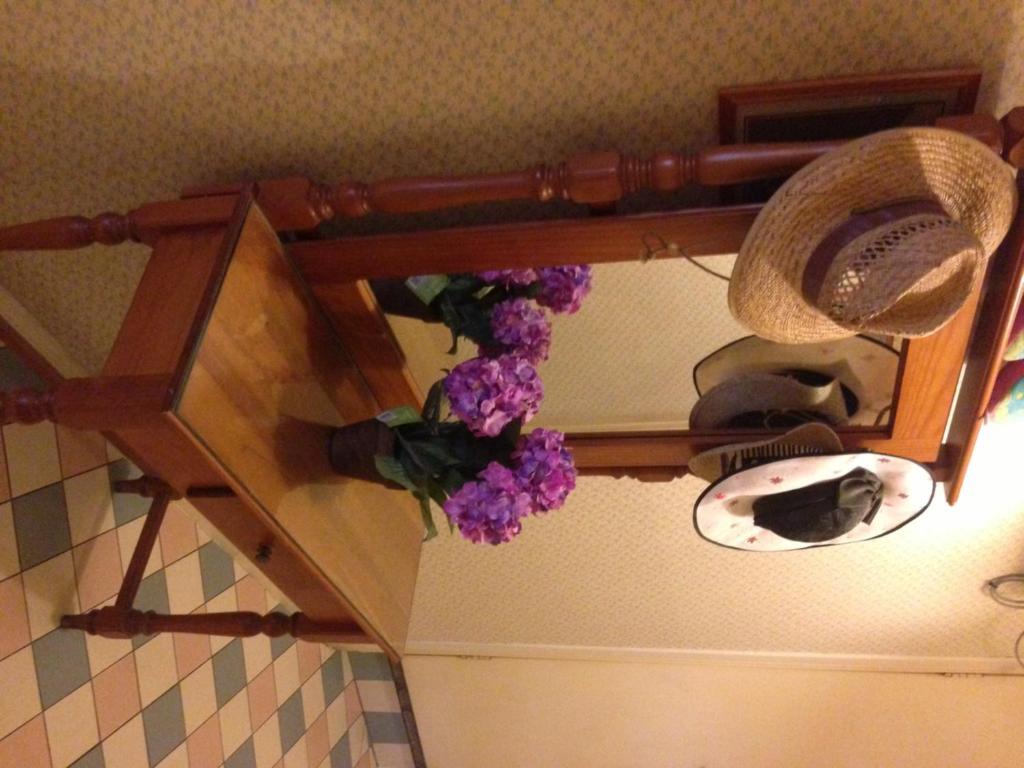Annie'S Shandon Inn Brisbane Buitenkant foto